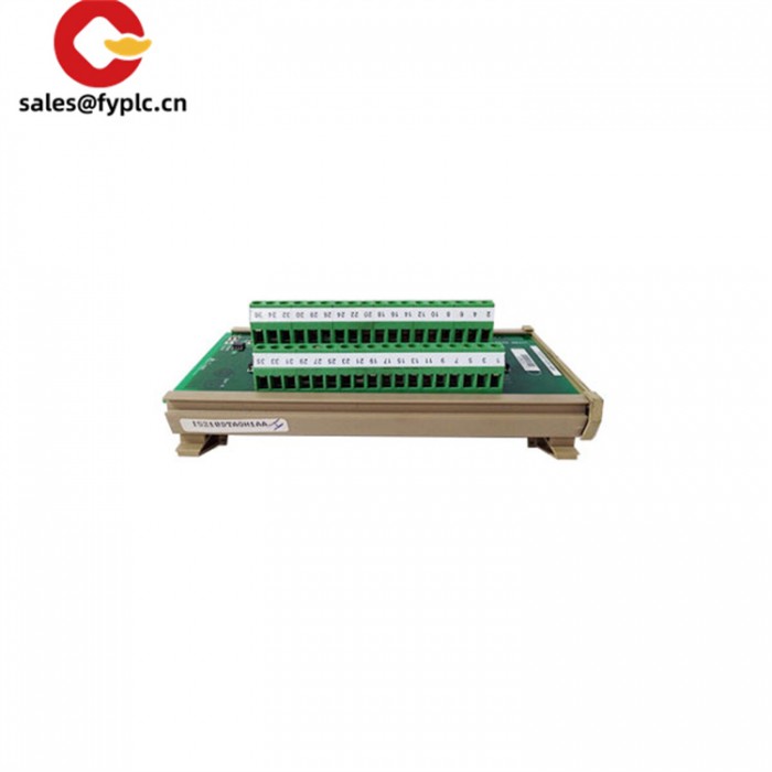 Mark VIe IS200DTAOH1ABA |  IS200TREGH1B |  Digital Output Module - Image 2