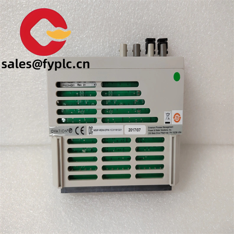 1C31181G01_1