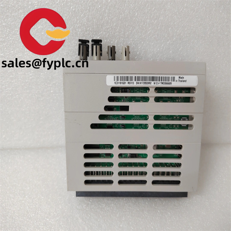 1C31181G01_2