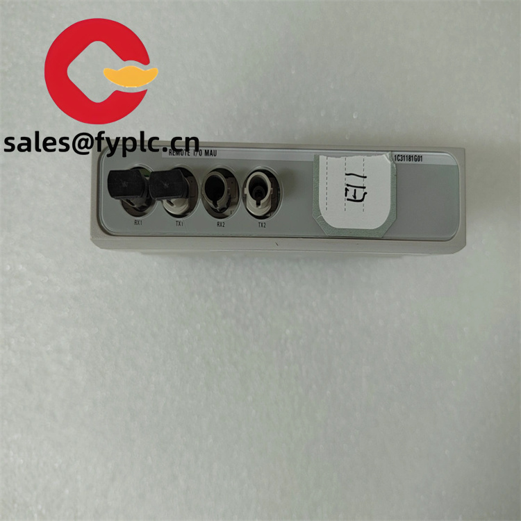 1C31181G01_3