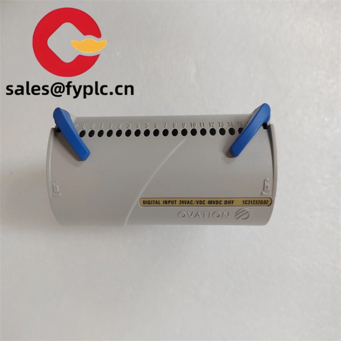 1C31232G02_6