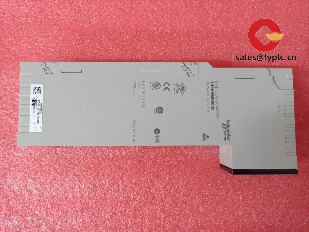 Schneider Electric 140AMM09000 mixed analog module - details and labeling