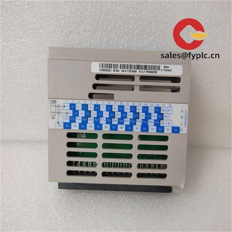 5x00502g01_emerson_safety-rated_analog_1