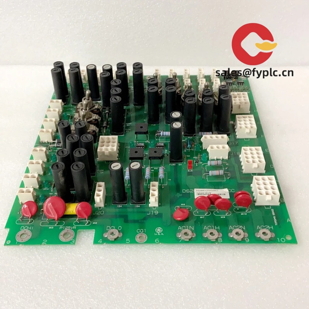 DS200TCPDG2BEC_1