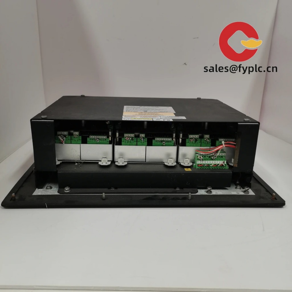 Woodward_8237-1369_2-1