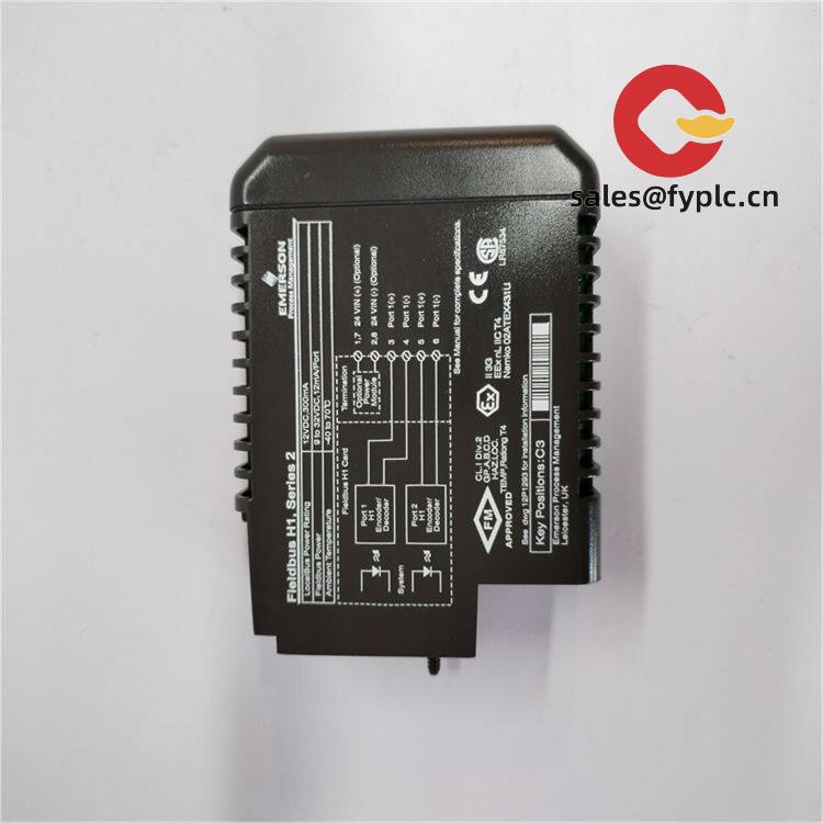 emerson_kj3242x1-ba1_fieldbus_h1_series_2_module_3-1