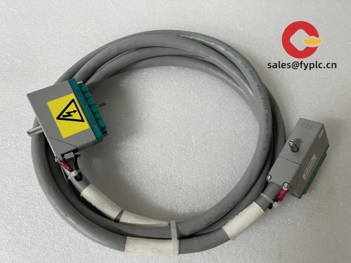 TRICONEX_4000093-110N_3-1