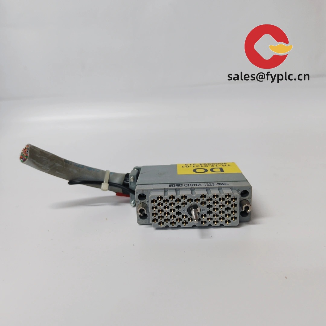 TRICONEX_4000094-313_4