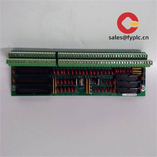 ds200tbqcg1aaa_rst_extended_analog_terminal_board_2